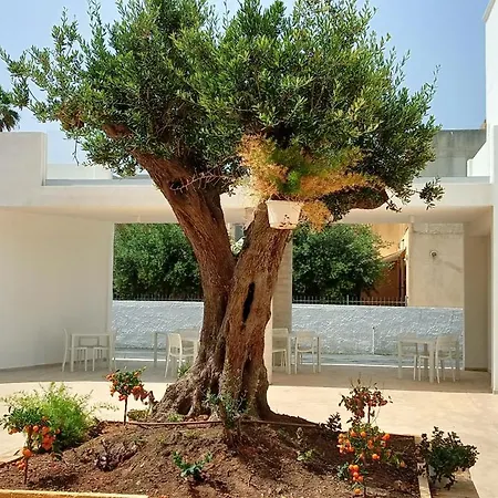 Baitan Marsala